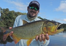 Luiz Logo 's Fly-fishing Photo of a Golden Dorado – Fly dreamers 