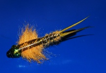 Fly-tying Pic by Ariel Garcia Monteavaro 