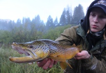 Jeremy Clark 's Fly-fishing Pic of a Brown trout – Fly dreamers 