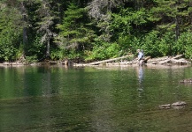 Gaspésie Peninsula