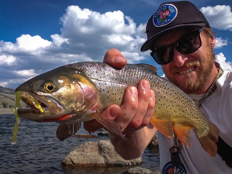 Yellowstone Cutthroat. i figured out a few rivers on the last two days of my trip through Yellowstone. landed a bunch over 20" so i was a happy camper.