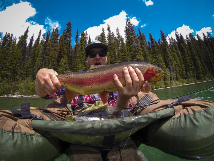 i was stoked. this one was patrolling the shoals. maybe finished spawning or maybe just about to start. hard to say but she was eating and it was an amazing fish!!