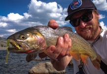  Captura de Pesca con Mosca de Clarks trout por Andrew Hardingham | Fly dreamers