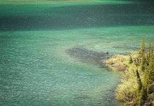  Mira esta Excelente foto de Situación de Pesca con Mosca de Andrew Hardingham