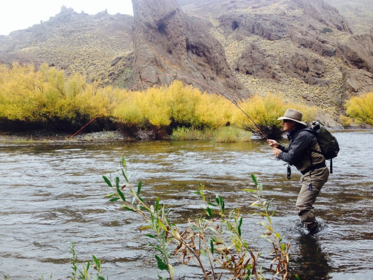 Pescando secas en el malleo