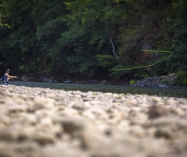 covering water on the Umpqua Rv. Curtis C photo