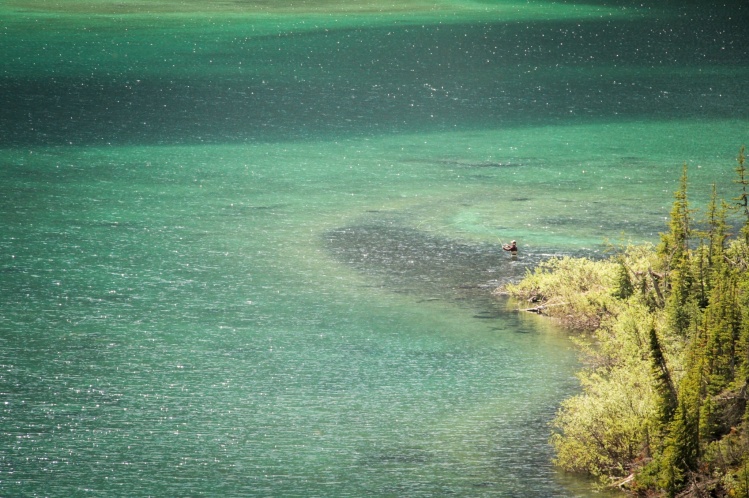 Ian Higginbottom casting the shoals.