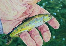 Brent Weaving's Fly-fishing Art Pic – Fly dreamers 