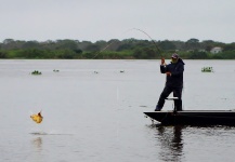 Golden Dorado Fly-fishing Situation – Luiz Logo shared this Interesting Photo in Fly dreamers 
