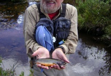 Jimbo Busse 's Fly-fishing Pic of a Brook trout – Fly dreamers 