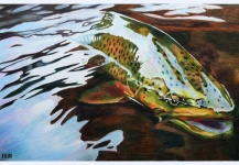 Nice Fly-fishing Art Picture shared by Rosi Oldenburg – Fly dreamers
