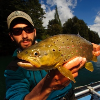 Fly fishing for brown trouts - Rio Manso Lodge