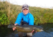 Tom Hradecky 's Fly-fishing Photo of a Brown trout – Fly dreamers 
