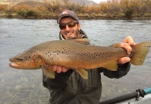 Fly-fishing Image of Brown trout shared by Flotadas Chimehuin – Fly dreamers