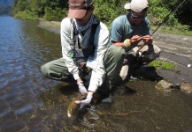 Good Fly-fishing Situation of Brown trout - Photo shared by Max Ignacio Segura Safian – Fly dreamers 