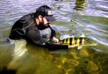  Situación de Pesca con Mosca de Tucunare - Pavón– Foto por Rafael Costa en Fly dreamers