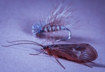 Fly-fishing Entomology Image by Brant Fageraas 