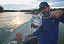 Thad Robison 's Fly-fishing Photo of a Payara – Fly dreamers 