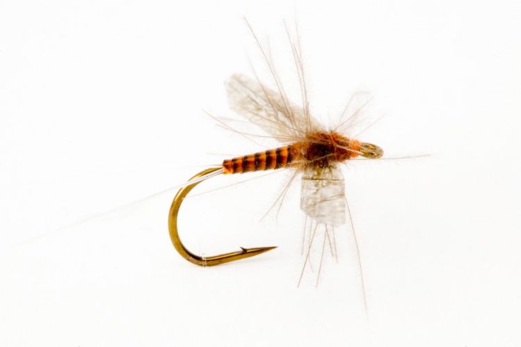 BWO tied by Paul Procter on the Partridge L5A