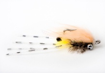  Fotografía de atado de moscas para Tarpón por Mark Hamnett – Fly dreamers 