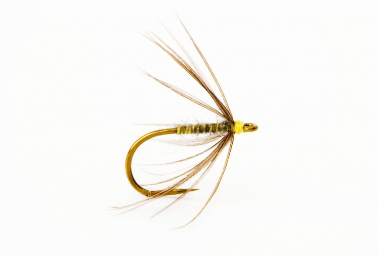 Water Hen Bloa tied by Paul Procter on the Partridge L3A-S 