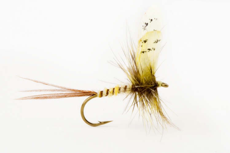 Mayfly tied by Paul Procter on the Partridge H1A
