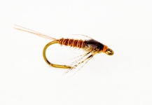 Mark Hamnett 's Fly for Brown trout -  Photo – Fly dreamers 