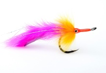 Mark Hamnett 's Fly-tying for Tarpon - Photo – Fly dreamers 