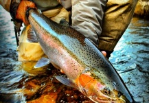  Fotografía de Pesca con Mosca de Steelhead por Paul Conklin – Fly dreamers 