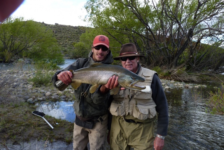 Marron de 30.5 x 17 pulgadas  pescada en el rio Chimehuin