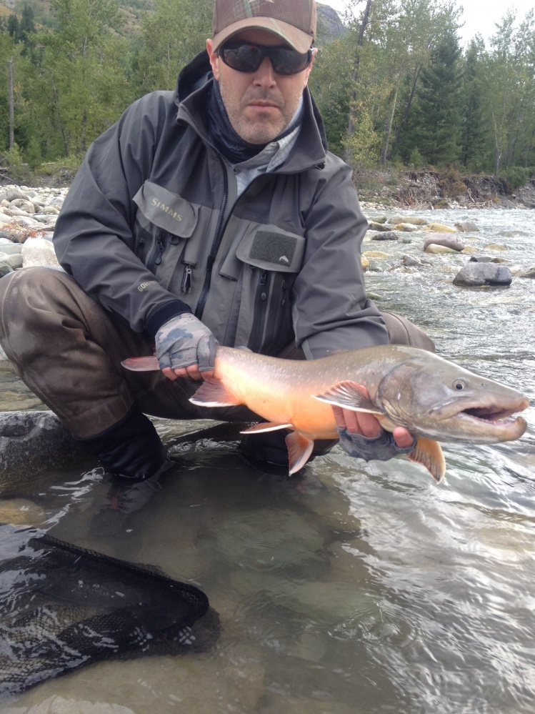 Stephen Hume 's Flyfishing Pic of a Bull trout Fly dreamers