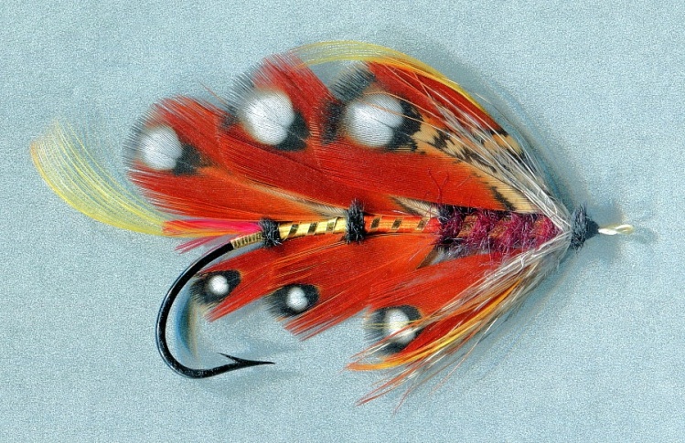 Satyrday
Tied with the rare Satyr Tragopan Pheasant. Creative fly tied by Mike Boyer.