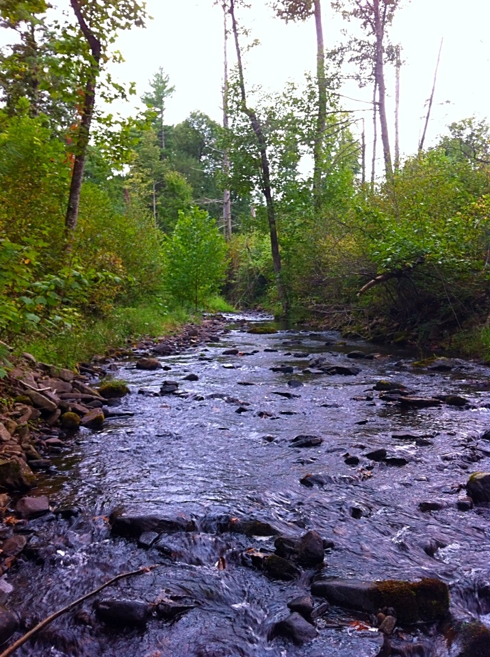 Dry River, VA