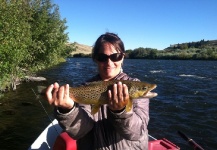 Fly-fishing Image of Brown trout shared by Giselle Fontanazza Hansen – Fly dreamers