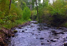 Fly-fishing Situation Picture by Brad Billings 