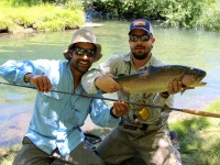 Fly fishing picture