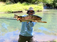 Fly fishing picture