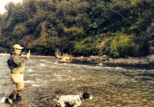 Brown trout Fly-fishing Situation – Cristián   Rodríguez O. shared this Impressive Pic in Fly dreamers 