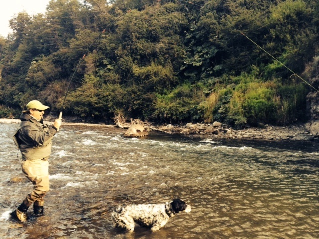 Brown on Tenkara