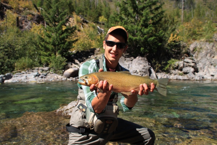 A beautiful fat 17" Westslope Cutthroat caught near Missoula, MT. 