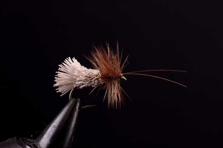 Goddard Caddis