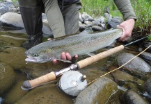  Fotografía de Pesca con Mosca de Steelhead por John Hicks – Fly dreamers 