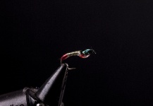 Fly-tying for Rainbow trout - Photo shared by Zeljko Babic – Fly dreamers 