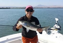 Fly-fishing Picture of Striper shared by Jessica Strickland – Fly dreamers