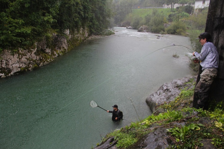 Hooked into a big wild rainbow trout in hard conditions on the amazing Boča river, Slovenia. August 2014.