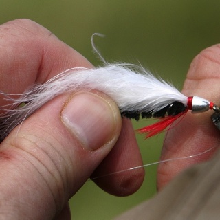 Sea trout fishing in Iceland - http://anglers.is/index.php/trout-and-arctic-char-rivers/tungulaekur-river-sea-trout