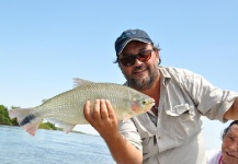 Mariano Miraglia 's Fly-fishing Pic of a Pira Pita – Fly dreamers 