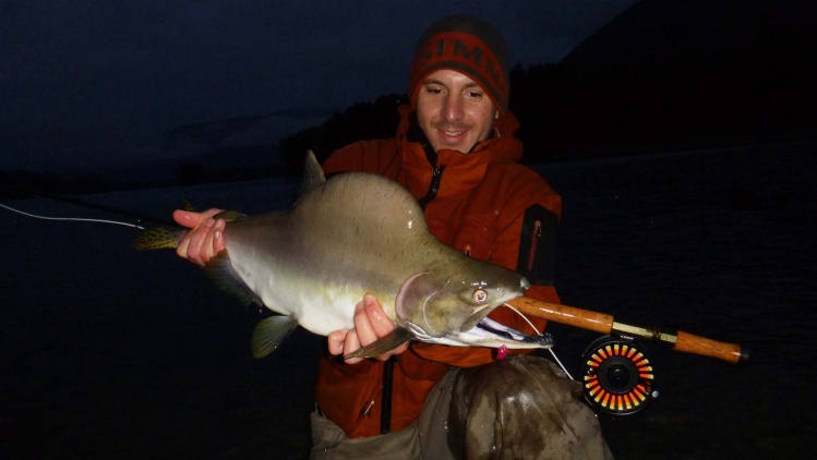 Skeena river, B.C.