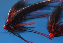 BLACK/RED TEMPLE DOG  with cone head and crazy legs black red tipped !!!