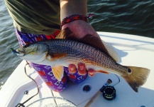 My first Redfish on a Fly